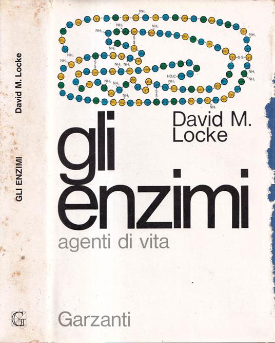 Gli enzimi - copertina