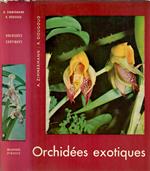 Orchidees exotiques