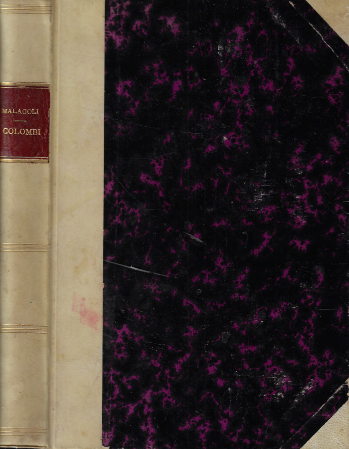 Biblioteca di Babele