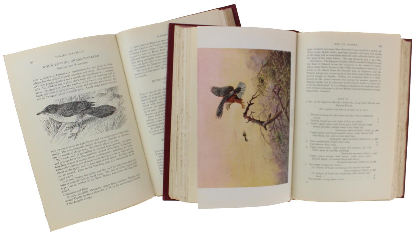 The Birds Of West And Equatorial Africa [Set Of 2 Volumes]
