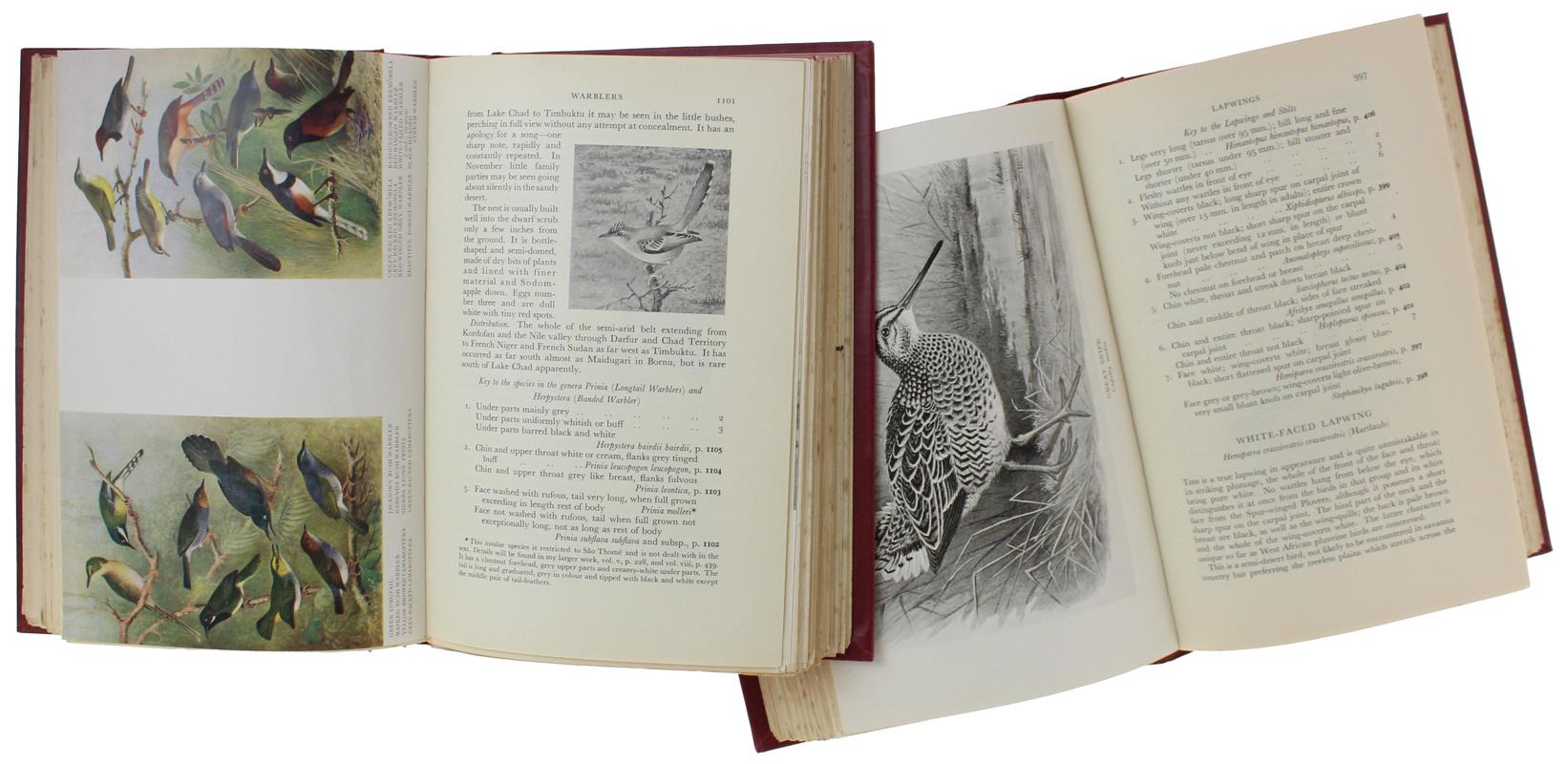 The Birds Of West And Equatorial Africa [Set Of 2 Volumes]
