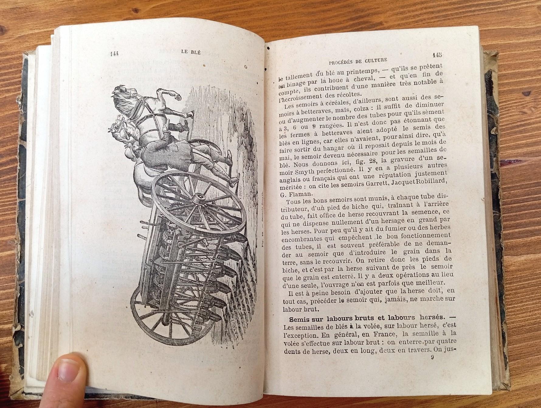 Le blé, sa culture intensive et extensive. Commerce - Prix de revient - Tarifs et législation des céréales