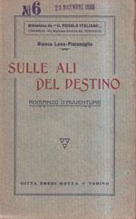 Sulle ali del destino. Romanzo d'avventure