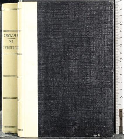 In solitudine. Voci ed Echi - copertina