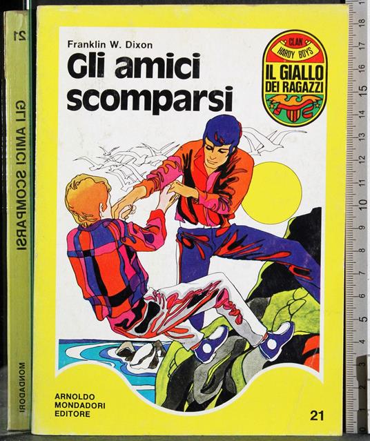Gli amici scomparsi - copertina