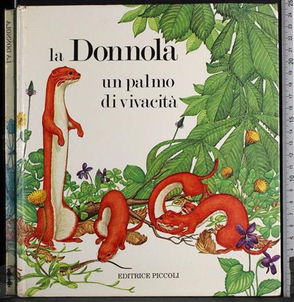 La donnola. Un palmo di vivacità - copertina