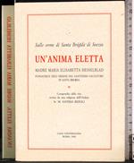 Sulle orme S Brigida. Un'anima eletta. Madre Hesselblad