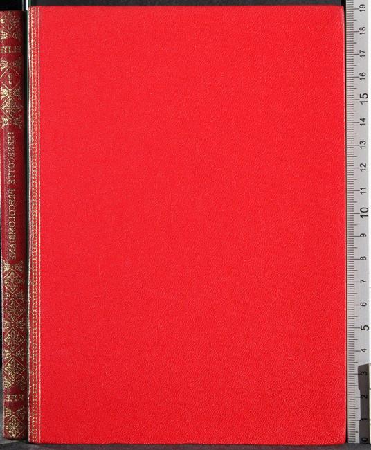 Elite. Terrecotte precolombiane - Franco Monti - copertina