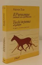 Il Purosangue Tocchi In Penna Al Galoppo