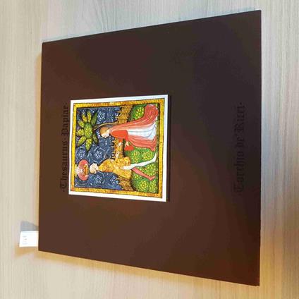 THESAURUS PAPIAE pavia certosa san michele castello TORCHIO DE RICCI 1985 - copertina