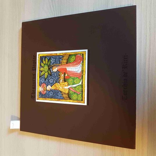 THESAURUS PAPIAE pavia certosa san michele castello TORCHIO DE RICCI 1985 - copertina