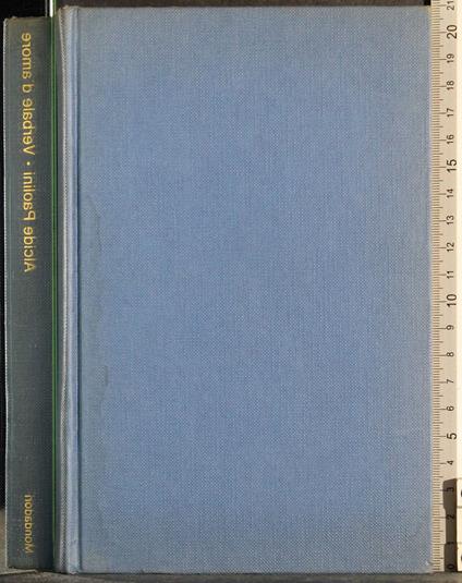 Verbale d'amore - Alcide Paolini - copertina