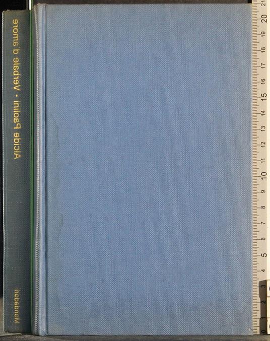 Verbale d'amore - Alcide Paolini - copertina