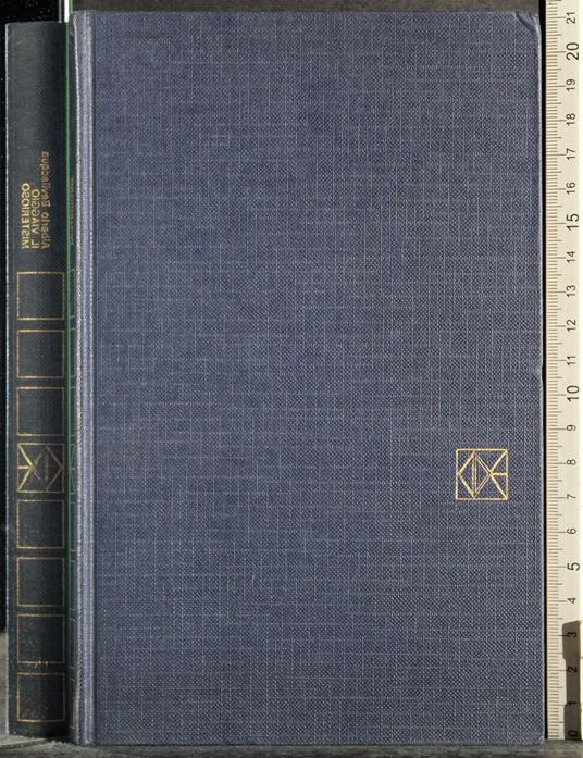 Il viaggio misterioso - Bevilacqua Alberto - copertina