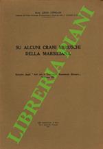 Su alcuni crani etruschi della Marsiliana.