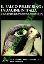 Il falco pellegrino: indagine in Italia