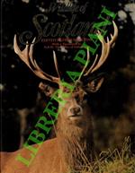 Wildlife of Scotland