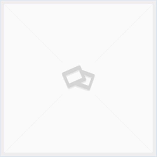 I Papiri Medievali Gia' Nel Museo Dell'Istituto Delle Scienze Di Bologna - copertina