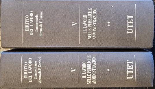 Diritto del lavoro - Il lavoro nelle pubbliche amministrazioni - 812 5° - Franco Carinci - copertina