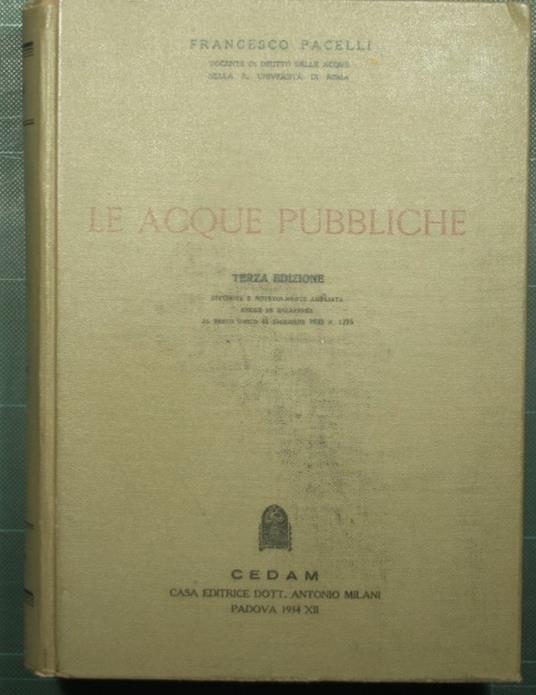 Le acque pubbliche - Francesco Pacelli - copertina