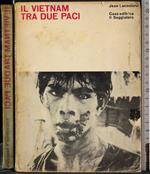 Il Vietnam tra due paci