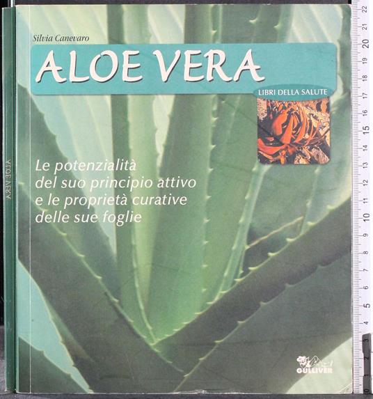 Aloe vera - Silvia Canevaro - copertina