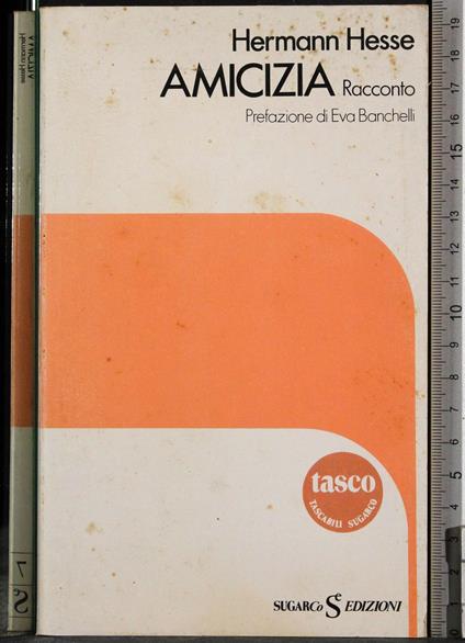 Amicizia - Hermann Hesse - copertina