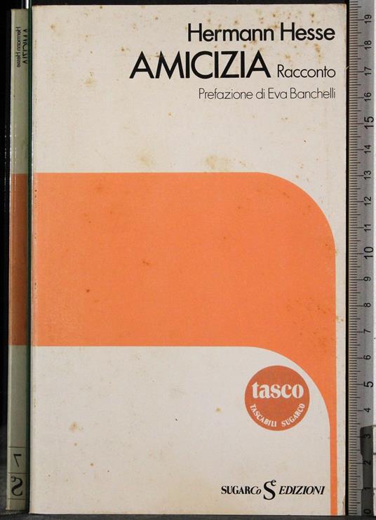 Amicizia - Hermann Hesse - copertina