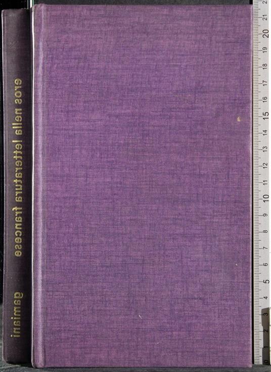 Eros nella letteratura francese. Il XIX secolo - copertina