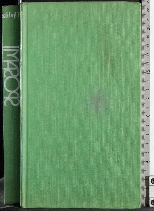 Sposami - John Updike - copertina