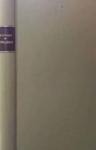 Michelangelo - Michele Saponaro - copertina