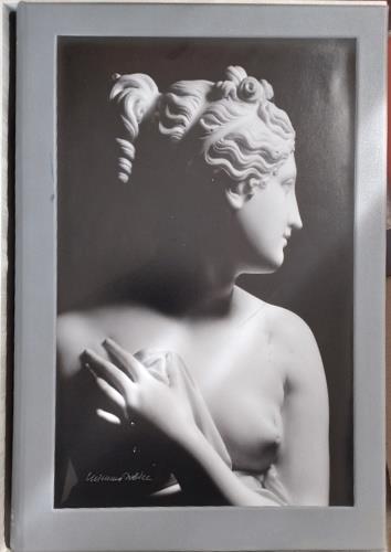 Antonio Canova. Il segno della bellezza