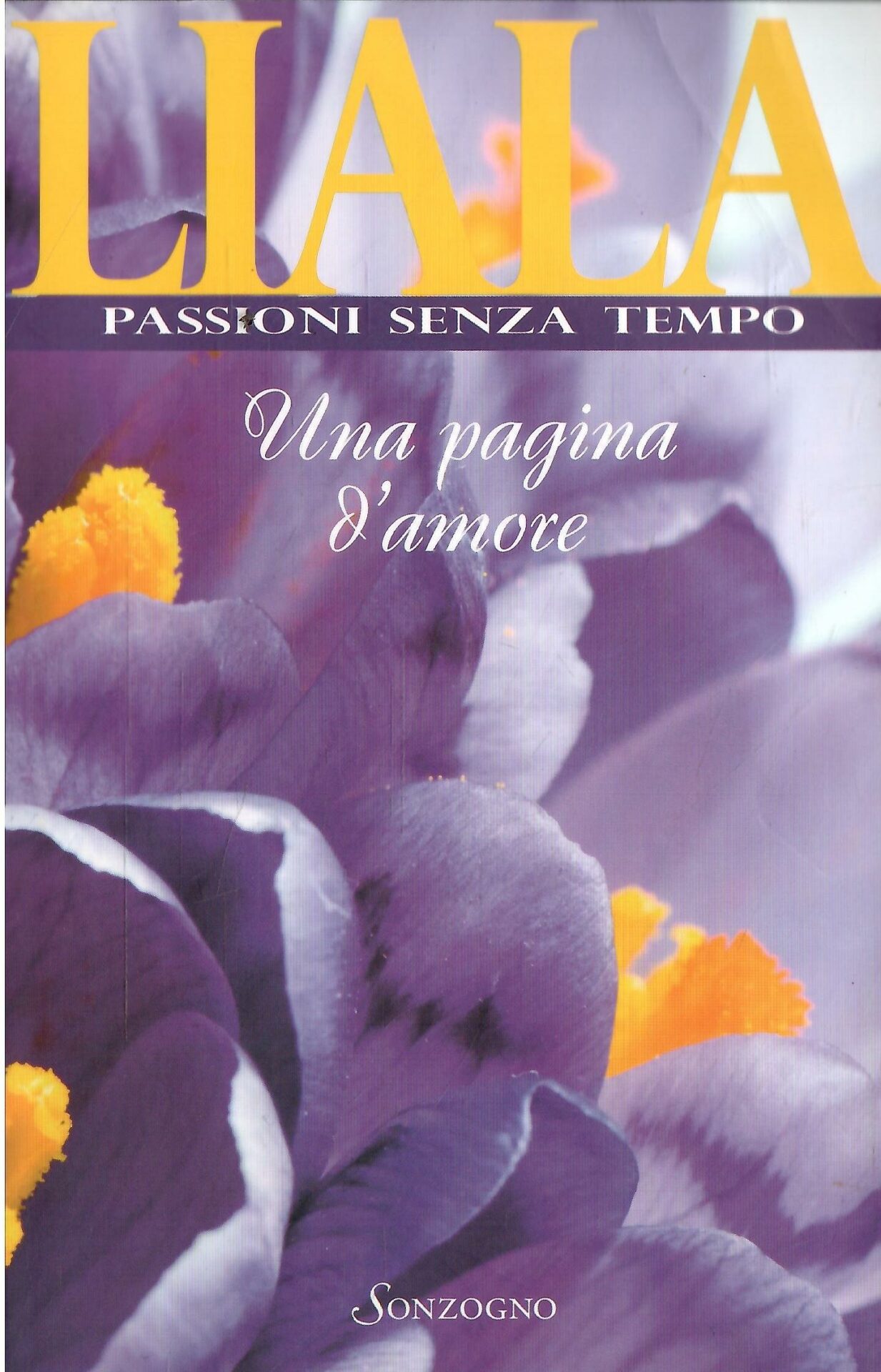 Libroteka di Fattoretti Silvia