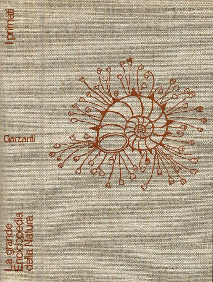 L'Odissea Libri e Arte