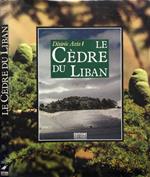 Le cedre du Liban