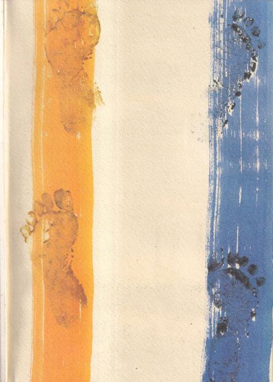 Vincenzo Torcello - copertina