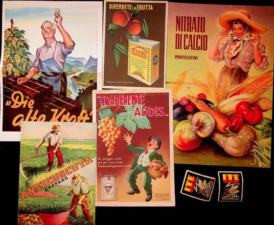 Lotto di 7 pubblicità d'epoca: Nicol - Coaderente Addis - Nitrato ci calcio Montecatini - Anticuscuta Caffaro - Die alte Kraft - ITE liquido fulmina tutti gli insetti - copertina