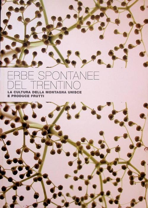 Studio Bibliografico Adige