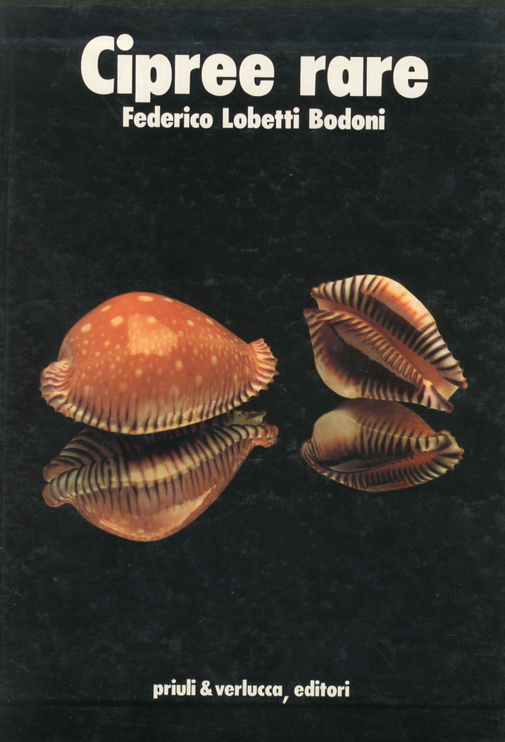 Carù Libreria Dischi