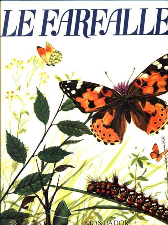 Carù Libreria Dischi