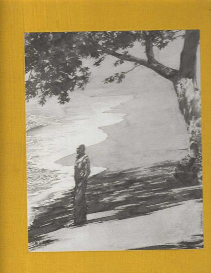 Il Grande Gatsby - Francis Scott Fitzgerald - copertina