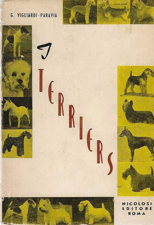 I Terriers - copertina