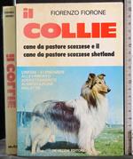 Il colle