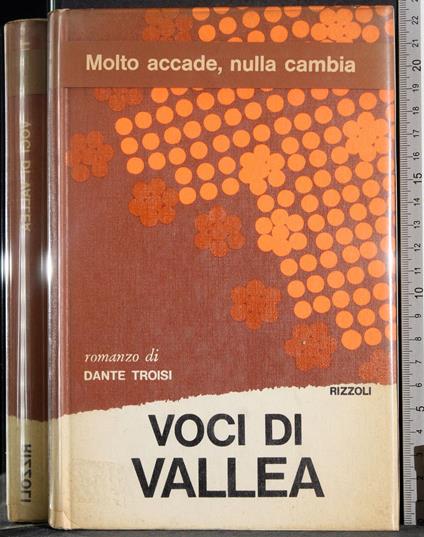 Voci di Vallea - Dante Troisi - copertina