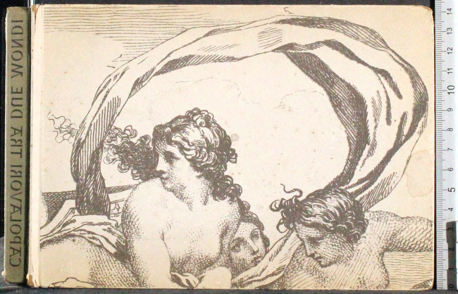 Cartarum