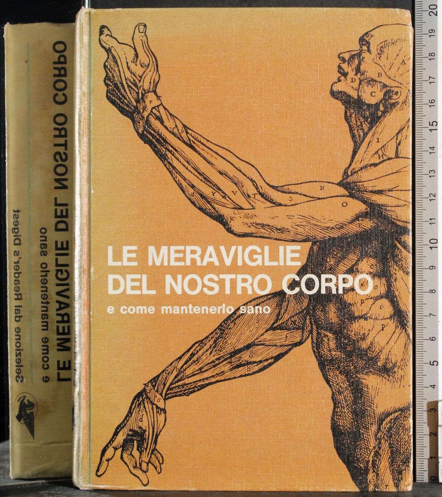 Cartarum