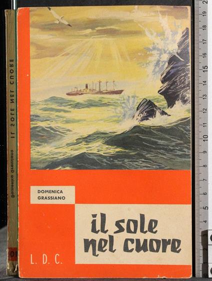 Il sole nel cuore - M. Domenica Grassiano - copertina