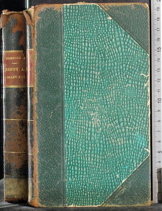 Le fosse aux filles - copertina