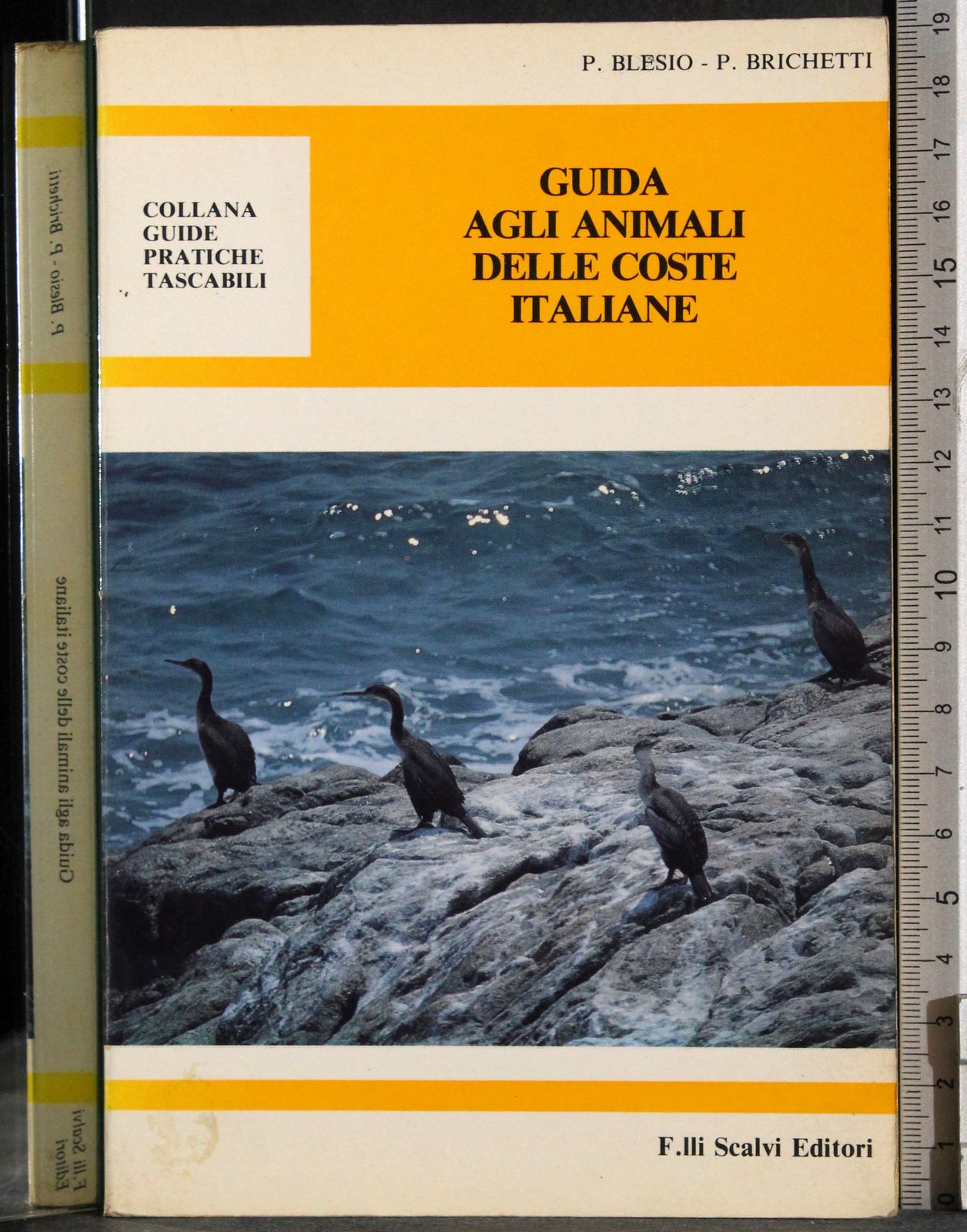 Cartarum