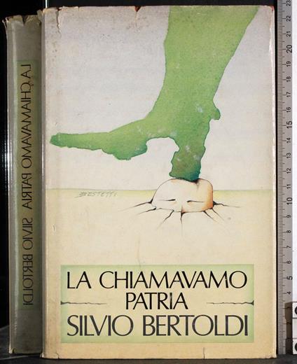 chiamavano patria - Silvio Bertoldi - copertina